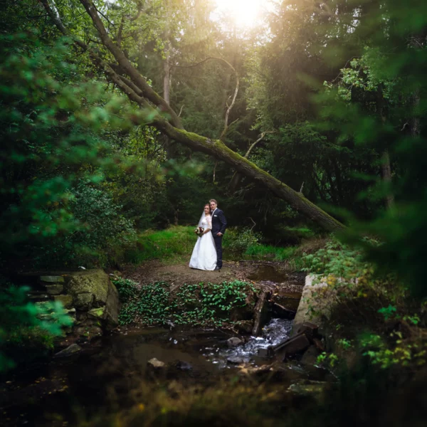 Bester-Hochzeitsfotograf-Deutschland-Hochzeitsfoto-im-grünen